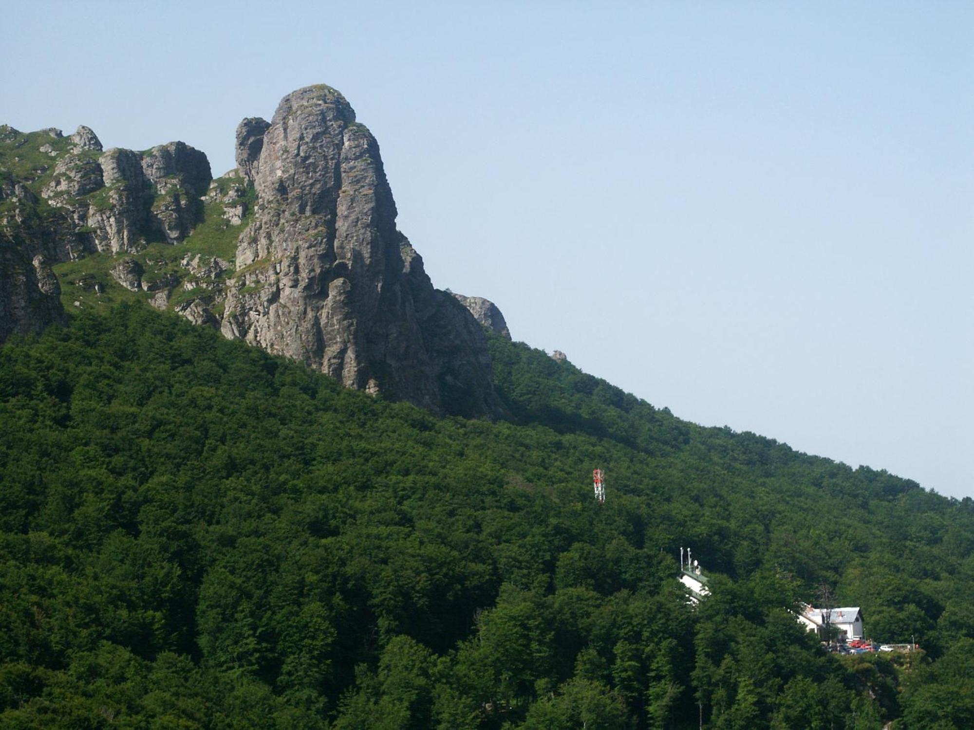 Hotel Stara Planina Custica Exterior photo